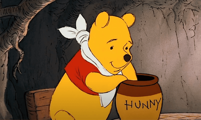 The Many Adventures of Winnie  the Pooh