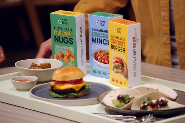 Yum Bug - sustainable snacks made from insects