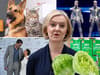 15 things that lasted longer than Liz Truss as prime minister - from the Daily Star lettuce to long life milk