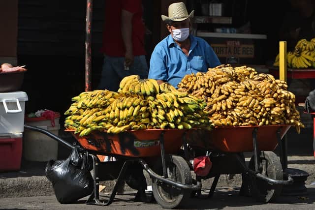 Bananas are a key export in South and Central American countries like Honduras (image: AFP/Getty Images)