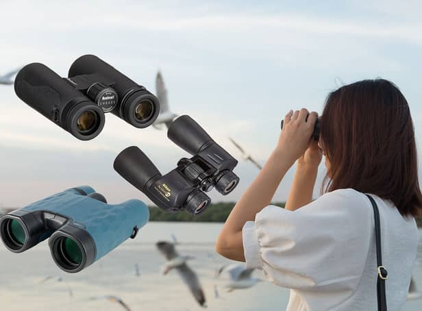 Best binoculars 2022 for birdwatching and nature hikes 