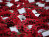 When is Remembrance Day 2022? Poppy Day and Remembrance Sunday dates and when silence takes place this year