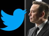 Elon Musk is now in charge of the social media platform (Composite: Kim Mogg)