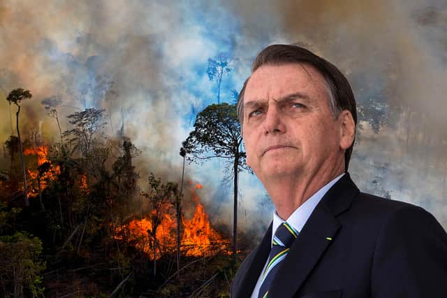 Brazilian President Jair Bolsonaro has overseen the decimation of huge swathes of the Amazon rainforest during his time in office. (Credit: NationalWorld/Kim Mogg)