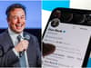 Is Elon Musk going to charge for Twitter verification? Blue tick badges, Twitter Blue and rumours explained 