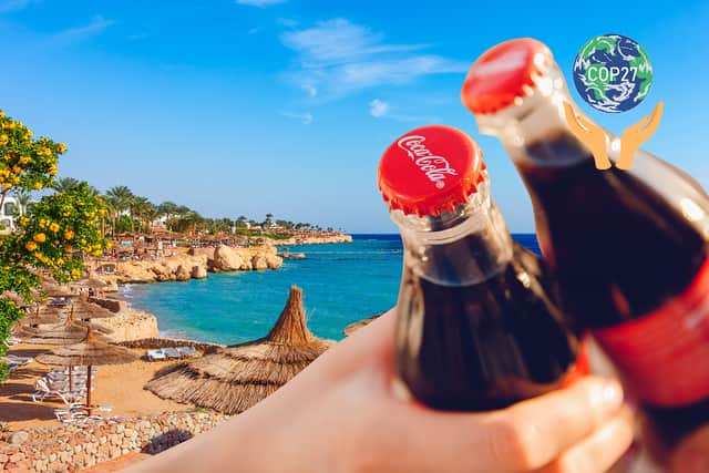 Coca-Cola’s COP27 sponsorship deal has been slammed as “jarring” and “concerning” by an environmental group (Composite: Kim Mogg / NationalWorld)