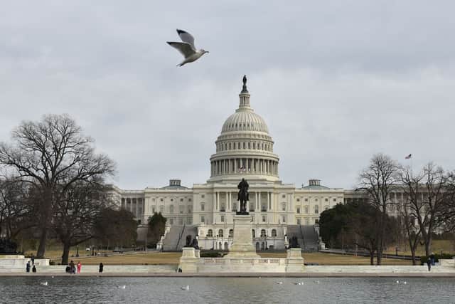 The US will be electing new representatives and senators during the 2022 Midterm elections. (Credit: Getty Images)