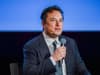 Tweet Farewell: Elon Musk begins mass layoffs at Twitter as staff sue Tesla CEO for not giving them enough notice