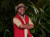 What is Babatunde Aleshe famous for? What does I’m a Celeb 2022 contestant do for a living, who is his wife