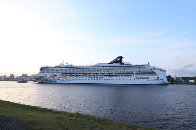 Dilek Ertek reportedly fell from her cabin on the Norwegian Spirit cruise ship