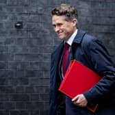 Gavin Williamson, whose political career defies logic (Getty Images)