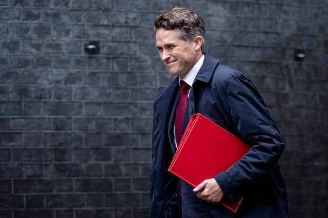 <p>Gavin Williamson, whose political career defies logic (Getty Images)</p>