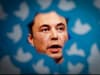 Elon Musk’s Twitter blues: from losing Tesla stock to backtracking on verification - is he really a genius?
