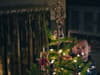 John Lewis Christmas advert 2022: is it out now, what is it about, theme and who sings Christmas song revealed
