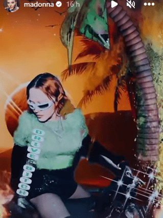 Madonna posted a "disgusting" video to her Instagram stories (Pic:Madonna/Instagram)