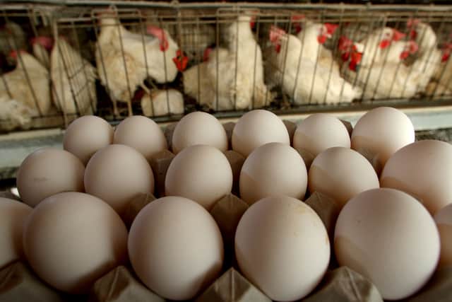 Some shops have begun to ration the number of boxes of eggs customers can buy due to supply issues