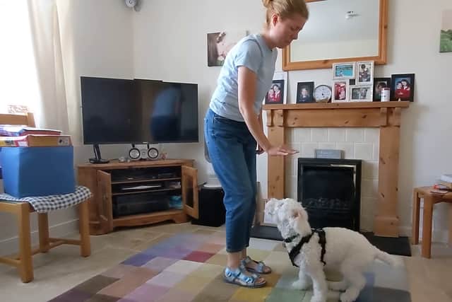 Rafa, a seven-month-old Spanish Water dog, has been learning sign language ever since his owner, Jo Le Page, aged 41, discovered that he couldn’t hear.