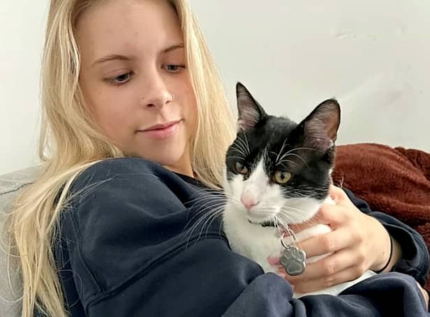 <p>Toni Czogalik pictured with stray kitten Nermal, who she bought home to the UK after finding him while on holiday in Greece. </p>
