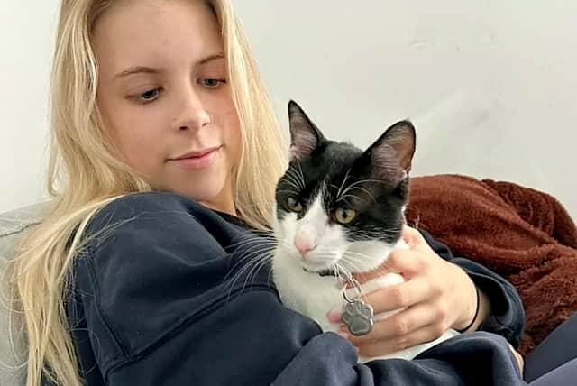 Toni Czogalik pictured with stray kitten Nermal, who she bought home to the UK after finding him while on holiday in Greece. 