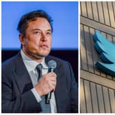 The billionaire Tesla owner sacked half of Twitter’s 7,500 global workforce a week after taking over the company (Photo: (left) Carina Johansen/NTB/AFP via Getty Images, (right) Constanza Hevia/AFP via Getty Images)