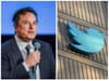 Elon Musk’s ‘incompetent’ and ‘erratic’ leadership will cause Twitter’s downfall, Mastodon founder warns