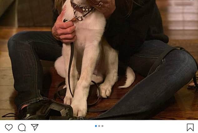 Jennifer Aniston is feeling grateful for Lord Chesterfield on Thanksgiving 2021. Image: Jennifer Aniston/Instagram