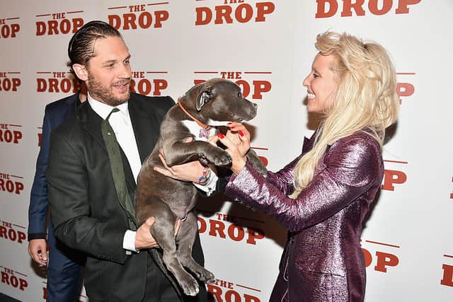Tom Hardy, Zora the dog and Noomi Rapace attend"The Drop" New York Premiere at Sunshine Cinema on September 8, 2014 in New York City. (Photo by Theo Wargo/Getty Images)