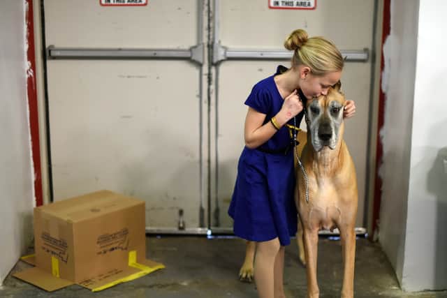 Emma Rogers, 11, from Columbus, New Jersey with her Great Dane “Joy” (Photo: AFP via Getty Images)