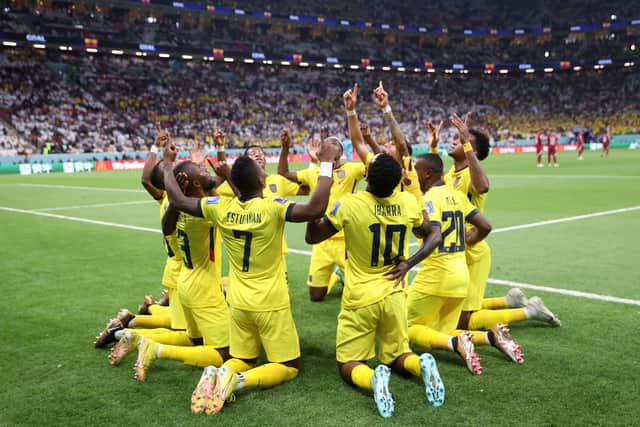 Ecuador celebrates their first of two goals against Qatar