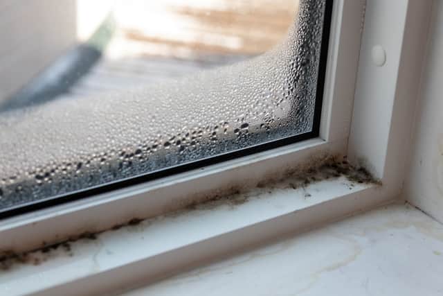 An excess of moisture in doors can lead to dampness on walls and the growth of mould in the home. (Credit: Adobe)