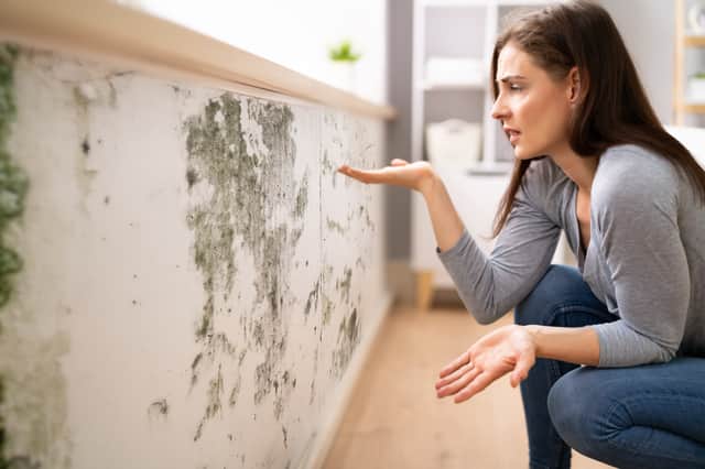 Mould and damp can develop as the temperature drop in the winter months - here’s some tips to stopping it developing and growing in your home. (Credit: Adobe”