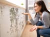 How to stop mould in your home this winter - expert’s top tips for reducing risk of damp in cold temperatures