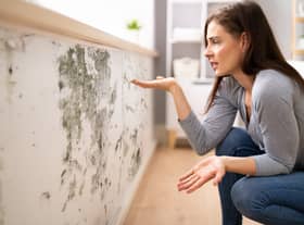 Mould and damp can develop as the temperature drop in the winter months - here’s some tips to stopping it developing and growing in your home. (Credit: Adobe”