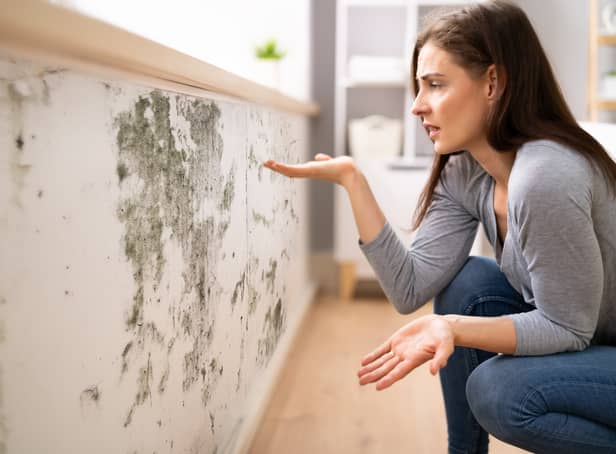 <p>Mould and damp can develop as the temperature drop in the winter months - here’s some tips to stopping it developing and growing in your home. (Credit: Adobe”</p>