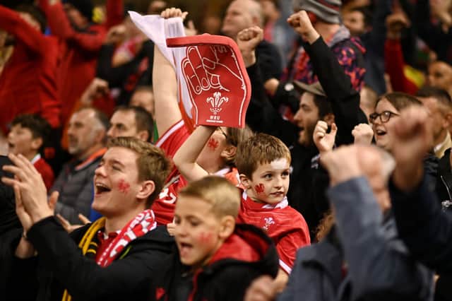  Fans of Wales react during the Autumn International match between Wales and Australia  (Photo by Harry Trump/Getty Images)