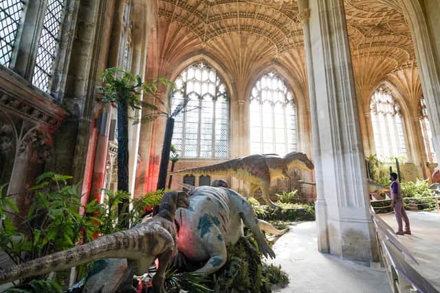 A touring exhibition from the Natural History Museum (Photo: PA)