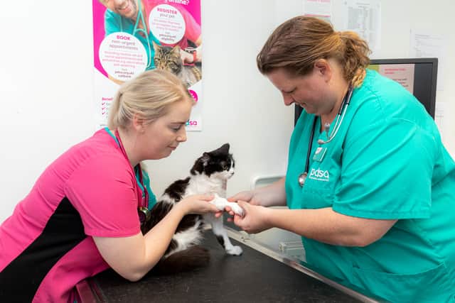 Black and white cat Oreo Woodward being examined by Vet Nurse Sophie Osborne and Vet Penny Morgan at Bristol Pet Hospital. Photo by Shaun Fellows / SHINE PIX LTD / SWNS.