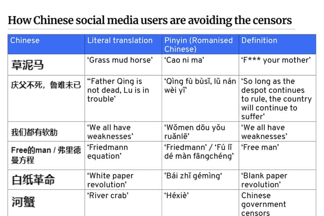Chinese homophones used to bypass censors (NationalWorld)
