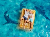 Jason and Pricey in Loaded in Paradise, lying on a yellow sun lounger with sharks swimming beneath them (Credit: ITVX)