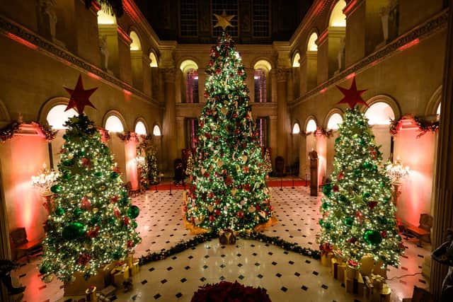 Christmas trees at Blenheim Palace in 2021 (Photo: Getty Images)
