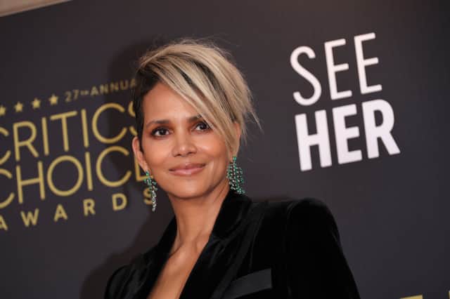 Halle Berry used to stay in a homeless shelter while pursuing a modelling career (Pic: Matt Winkelmeyer/Getty Images)