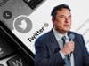 Elon Musk bans journalists and blocks Mastodon - so much for free speech