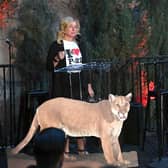 LOS ANGELES, CALIFORNIA - MARCH 08: California Regional Director of LA Cougars Beth Prett speaks onstage with a photo of local cougar P-22 at "Meet Me In Australia" To Benefit Australia Wildlife Relief Efforts, hosted by The Greater Los Angeles Zoo Association at Los Angeles Zoo on March 08, 2020 in Los Angeles, California. (Photo by Kevin Winter/Getty Images)