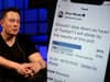Elon Musk says he’ll quit as Twitter CEO when he finds ‘foolish enough’ replacement
