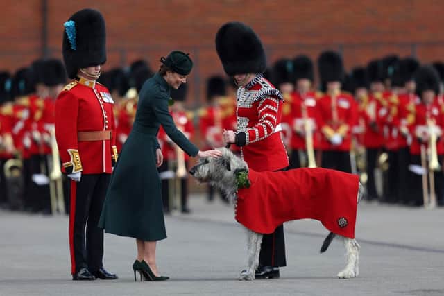 Kate Middleton with Turlough Mor (also known as Seamus). (Photo by ADRIAN DENNIS/AFP via Getty Images)