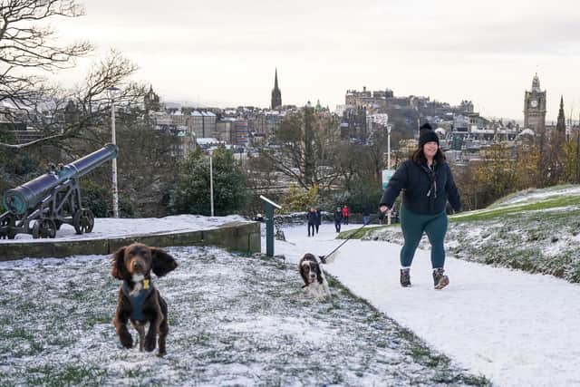 A woman is seen walking her dogs through snow (Getty Images)