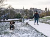 A woman is seen walking her dogs through snow (Getty Images)