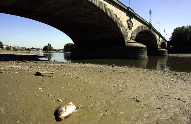 <p>All of England’s waterways - rivers, lakes and coastal areas - are said to be in poor ecological condition. (Credit: Getty Images)</p>