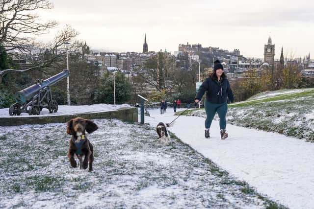 A woman is seen walking her dogs through snow on Calton Hill in Edinburgh. Photo by Peter Summers/Getty Images