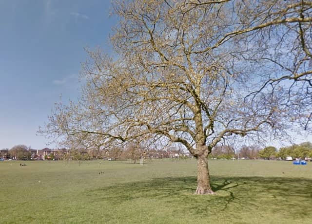 Generic view of Peckham Rye Park. Picture: Google Maps